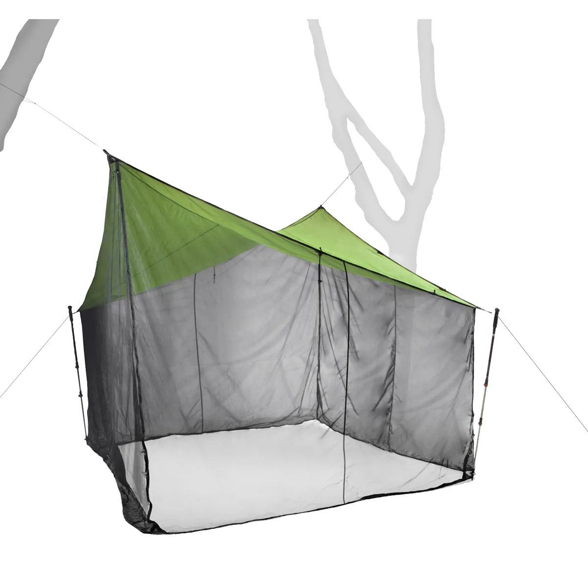 Bugout 12x12