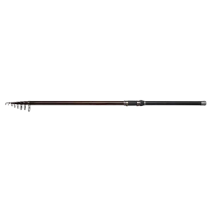 DAM | Backbone II Stellfisch Rod